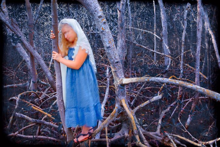 Figure in a blue dress and white veil holding a mangrove trunk