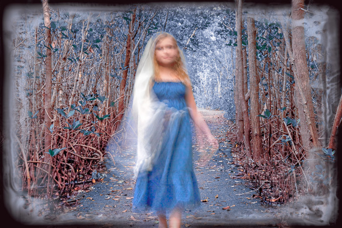Motion blurred figure in blue walking along a path through mangroves