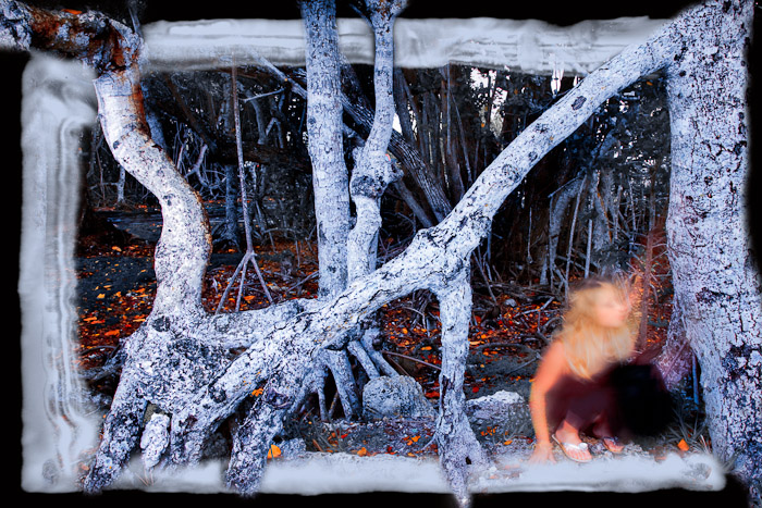 Figure in a dark dress crouching beside pale mangrove trunks