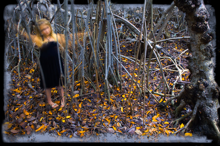 Motion blurred figure in a dark dress among mangrove roots and fallen leaves