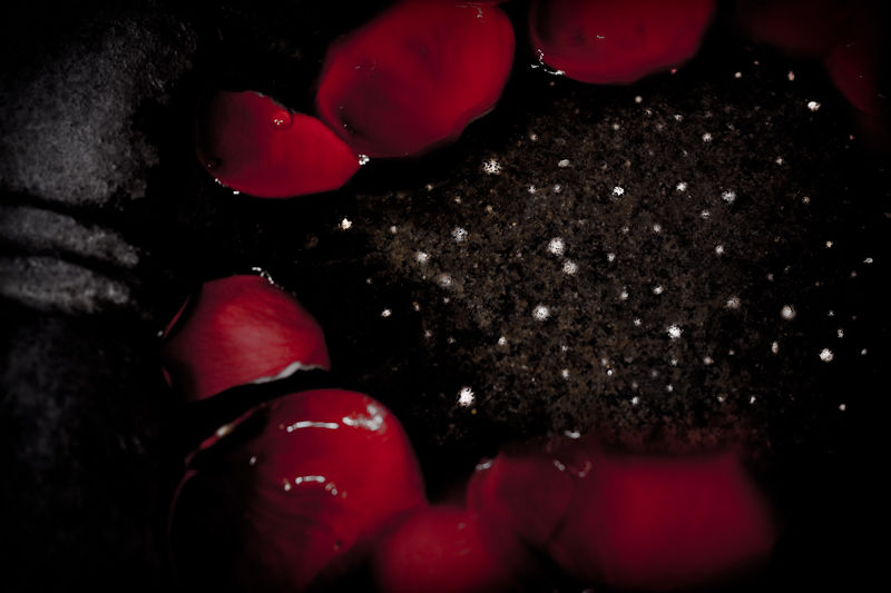 Red petals resting against a dark, textured surface