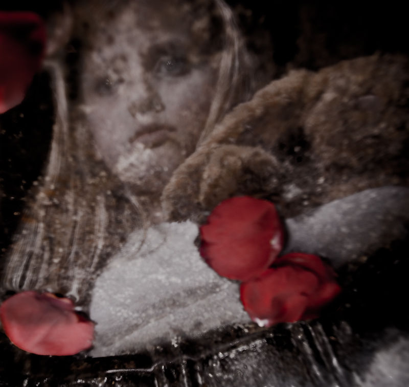 Eric’s daughter seen through layered textures beside red petals