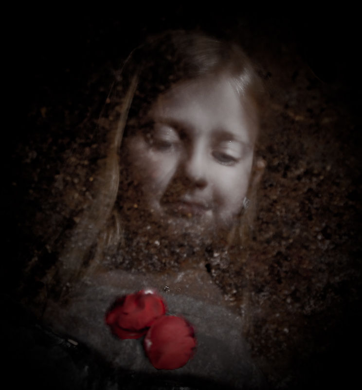 Soft portrait of Eric’s daughter looking downward, with red petals in the foreground