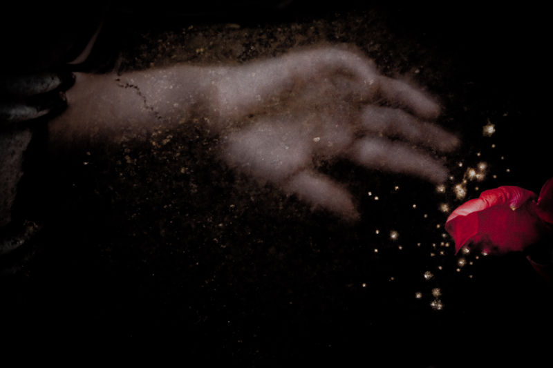 A hand reaching across a dark surface toward a red petal