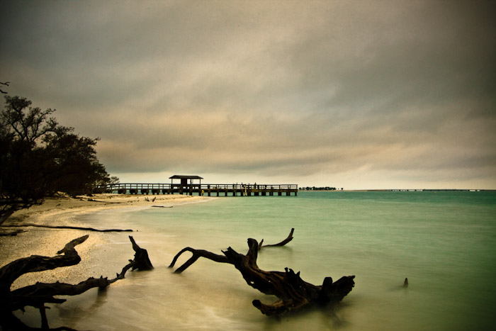 Fallen wood in shallow water with a pier in the distance beneath a gray sky