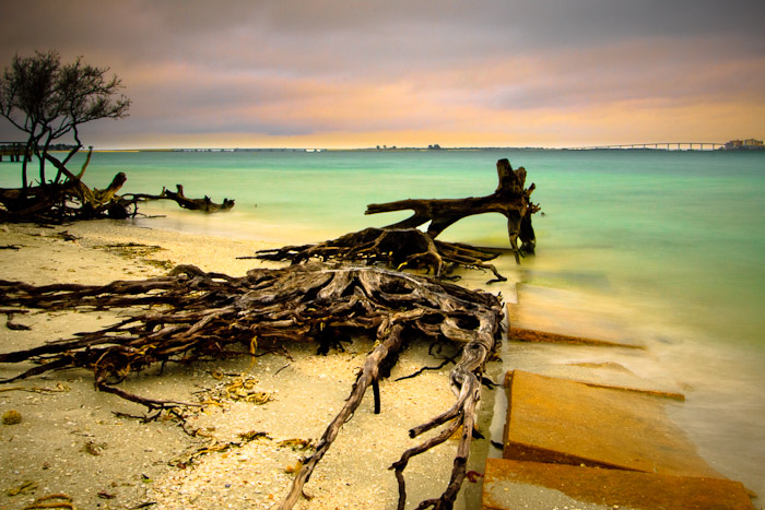 Driftwood scattered across a sandy shoreline beside turquoise water